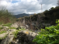 cantara gurne23122011 167